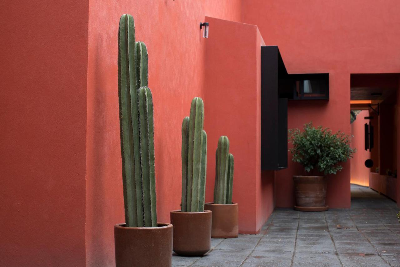 Tonalli Casa Boutique Mexico by Eksteriør bilde